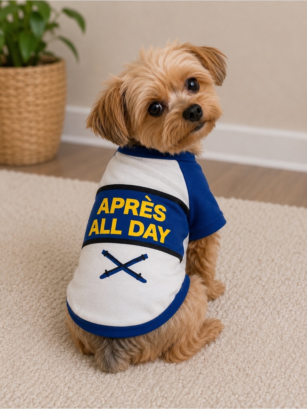 Dog Pet Outfit Apres All Day Sz L  NEW!!